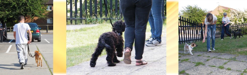 Walking to heel exercise