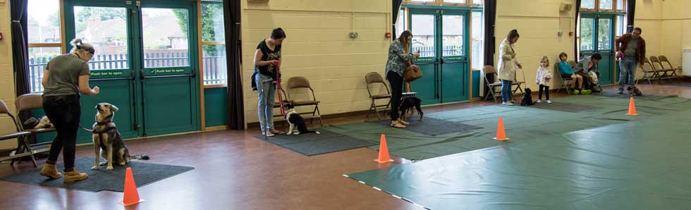 A training session in progress at the SWAN Centre